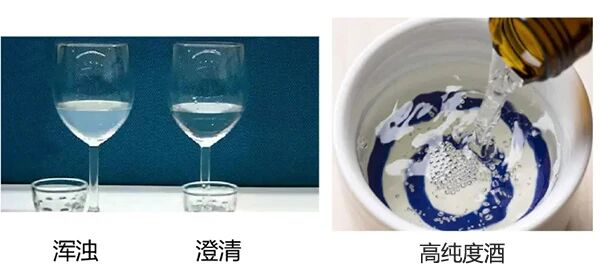 微信圖片_2025-09-19_165259_770